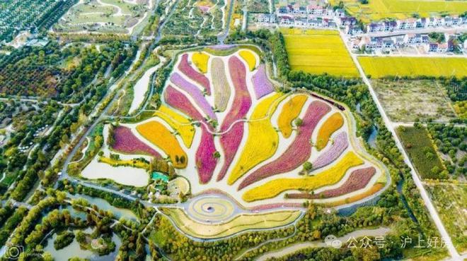 站 楼盘百科 国印东方~房价~户型面积k8凯发马竞赞助金山国印东方2024网(图8)