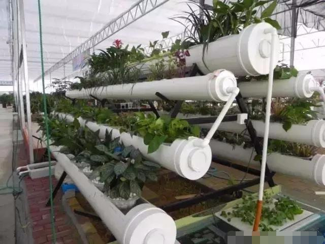20 种家具不用买且耐用性提升十倍！K8凯发国际惊爆！PVC管改装神操作(图2)