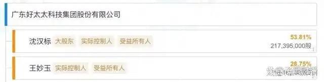 收、净利下滑旗下电动晾衣机曾抽查不合格k8凯发一触即发好太太去年前三季度营(图11)